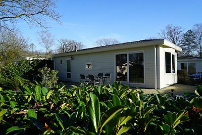 Schönes Chalet in einem Ferienpark, angrenzen...