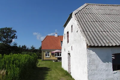 6 persoons vakantie huis in Skagen-By Traum