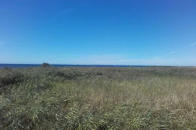 8 Personen Ferienhaus in Harpelunde-By Traum