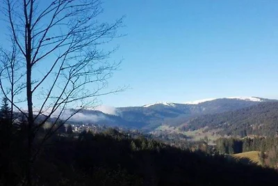 Haus Schmidt Feldberg