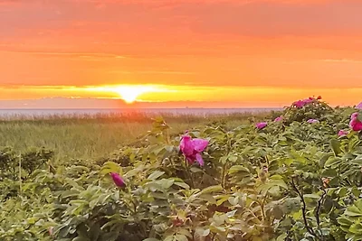 6 Personen Ferienhaus in Sjællands Odde-By...