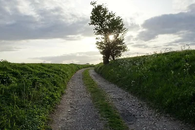 12 Personen Ferienhaus in Bredebro-By Traum