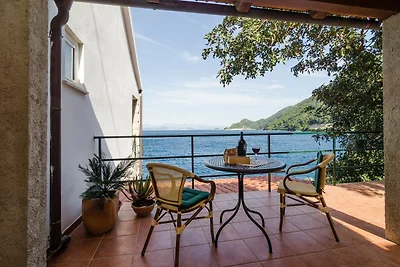 Apartments Anelić- Two Bedroom Apartment with...