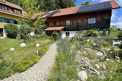 Böllenburg Komfortable Ferienresidenz