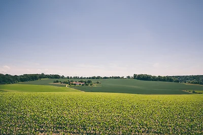 Bungalow am Hang mit Garten