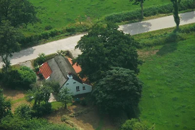 Ferienhaus mit 2 Schlafzimmer