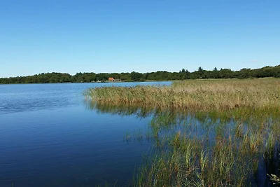 4 Personen Ferienhaus in Ansager