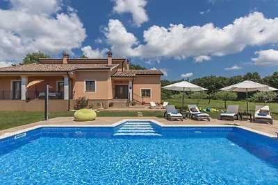 Villa in Tinjan with swimming pool