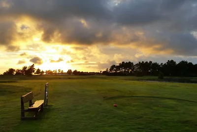 3 Personen Ferienhaus in FALKENBERG-By Traum