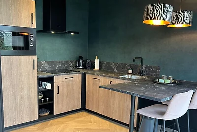 Kuća za odmor Dopust za oporavak Dalerveen