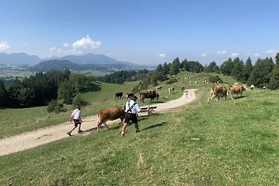 Diana - Seeg im Allgäu