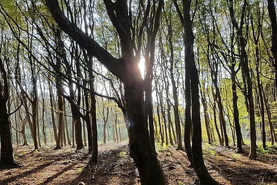 Casa di lusso sulla spiaggia a Blokhus -- By ...