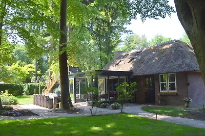 Ferienhaus in Haaren bei Efteling