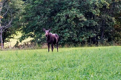 6 Personen Ferienhaus in STRÖMSTAD