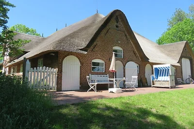 Holiday apartment with 1 bedroom