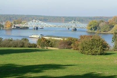 Lichtung im Parkchâlet