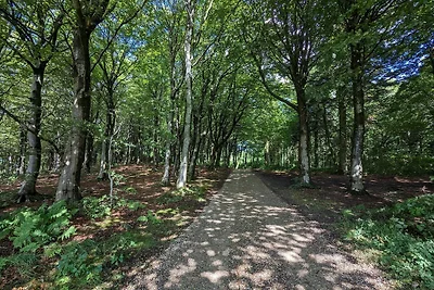 8 Personen Ferienhaus in Vestervig