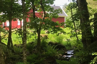 Ferienhaus mit 3 Schlafzimmern und Sauna