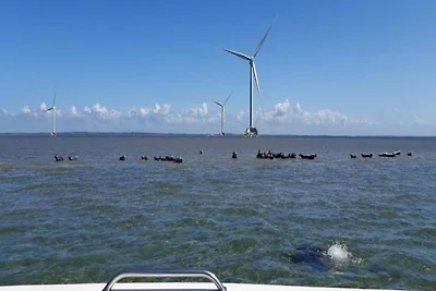 4 Personen Ferienhaus in Thyborøn