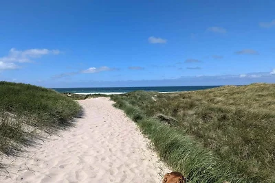 6 persoons vakantie huis in Thyholm