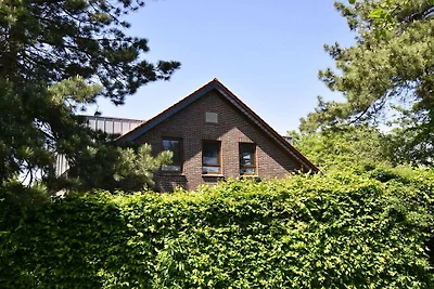Traumkrone Himmelblau