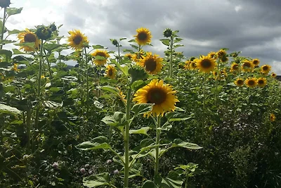 Renoviertes Strandhaus -- By Traum...