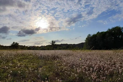 4 Personen Ferienhaus in Haderslev-By Traum