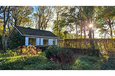 Casa vacanze a Vessem in mezzo alla foresta