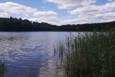 Vakantiedorp op de wijngaard, Dobbrikow