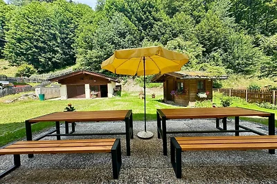 Wohnung in Saalfelden bei Skigebieten