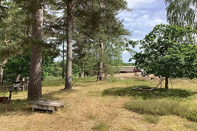 4 Sterne Ferienhaus in DEGEBERGA