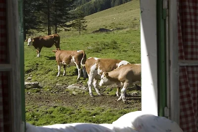 Kuća za odmor Dopust za oporavak Gröbming