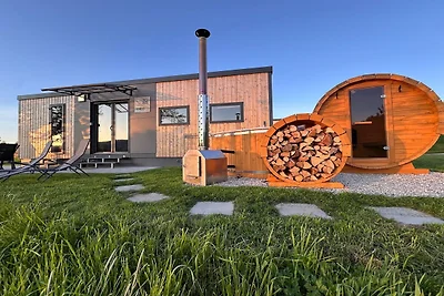 Vakantiedorp Seeblick - Vakantiehuis met saun...