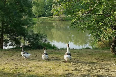 Ecolodge in Frankreich mit Waldidylle