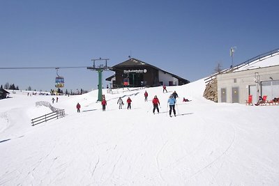 Gemütliches Appartment neben Skipiste