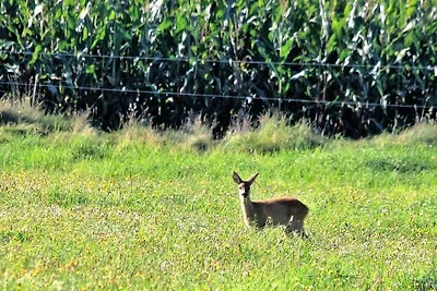 Westerheide Komfortable Ferienresidenz