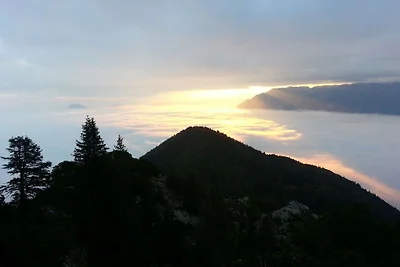 Alpenrose Leitnerhof