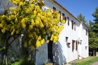 Casa di campagna Cà Bianca a Montefiore Conca