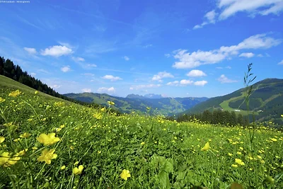 Geräumiges Chalet nahe Skigebiet