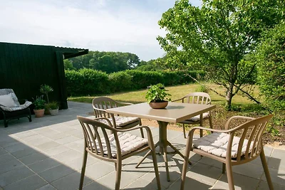 4 Personen Ferienhaus in Rudkøbing-By Traum
