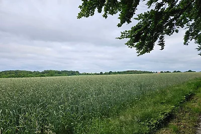 5 persone case ad Hejls-By Traum