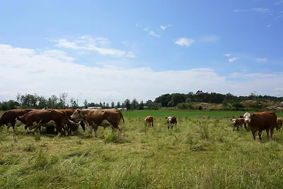2 Personen Ferienhaus in HENÅN