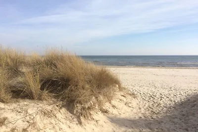 Vakantieappartement met 1 slaapkamer