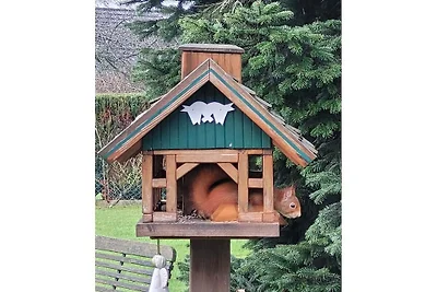Ferienhaus mit 1 Schlafzimmer