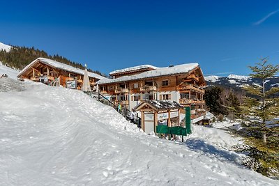 Chalet met dronepanorama TOP 10