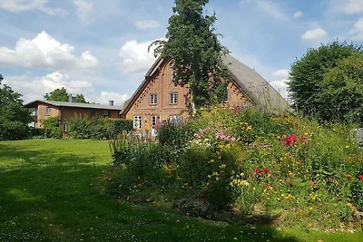 Techin am Schaalsee