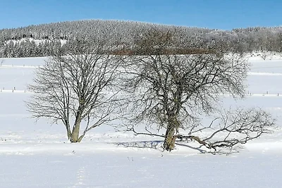 Sauerlandhaus Küstille
