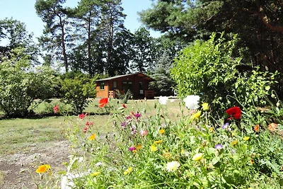 Casa vacanze a Kodrabek