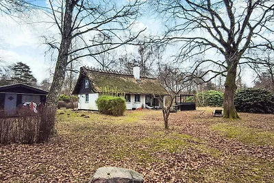 9 Personen Ferienhaus in Frederiksværk