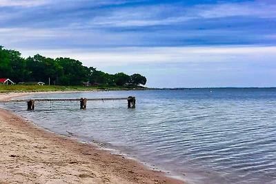 12 persoons vakantie huis in Haderslev